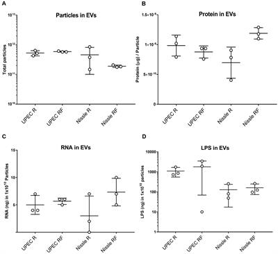 Effect of the Extracellular Vesicle RNA Cargo From Uropathogenic Escherichia coli on Bladder Cells